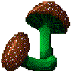 Inky-Cap Mushroom